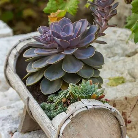 Guest house Peruzovic 1 3*